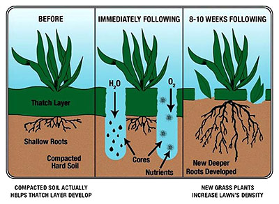 Core Aeration